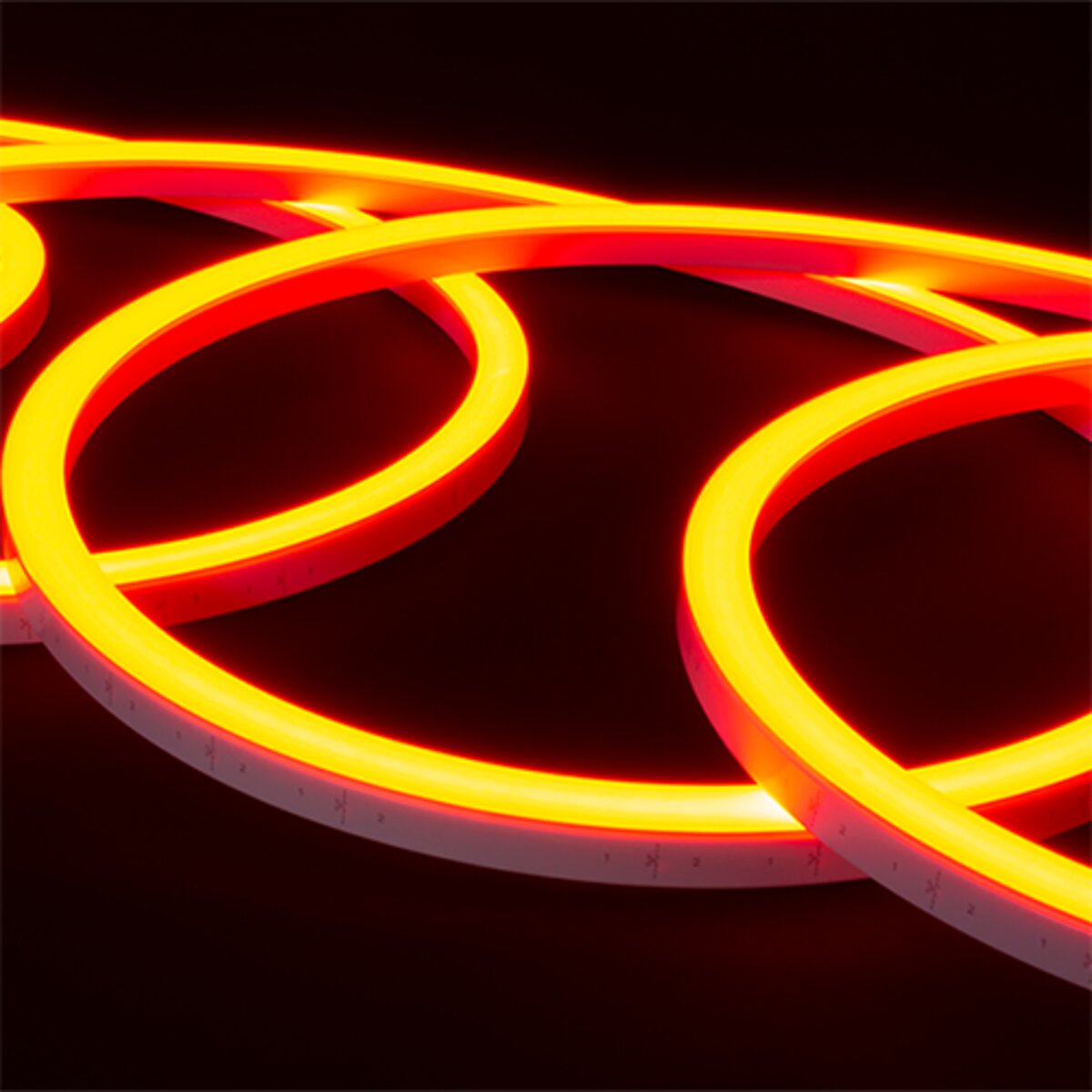 American Lighting Neon RF Kit 12V AC 20 ft. RGBW