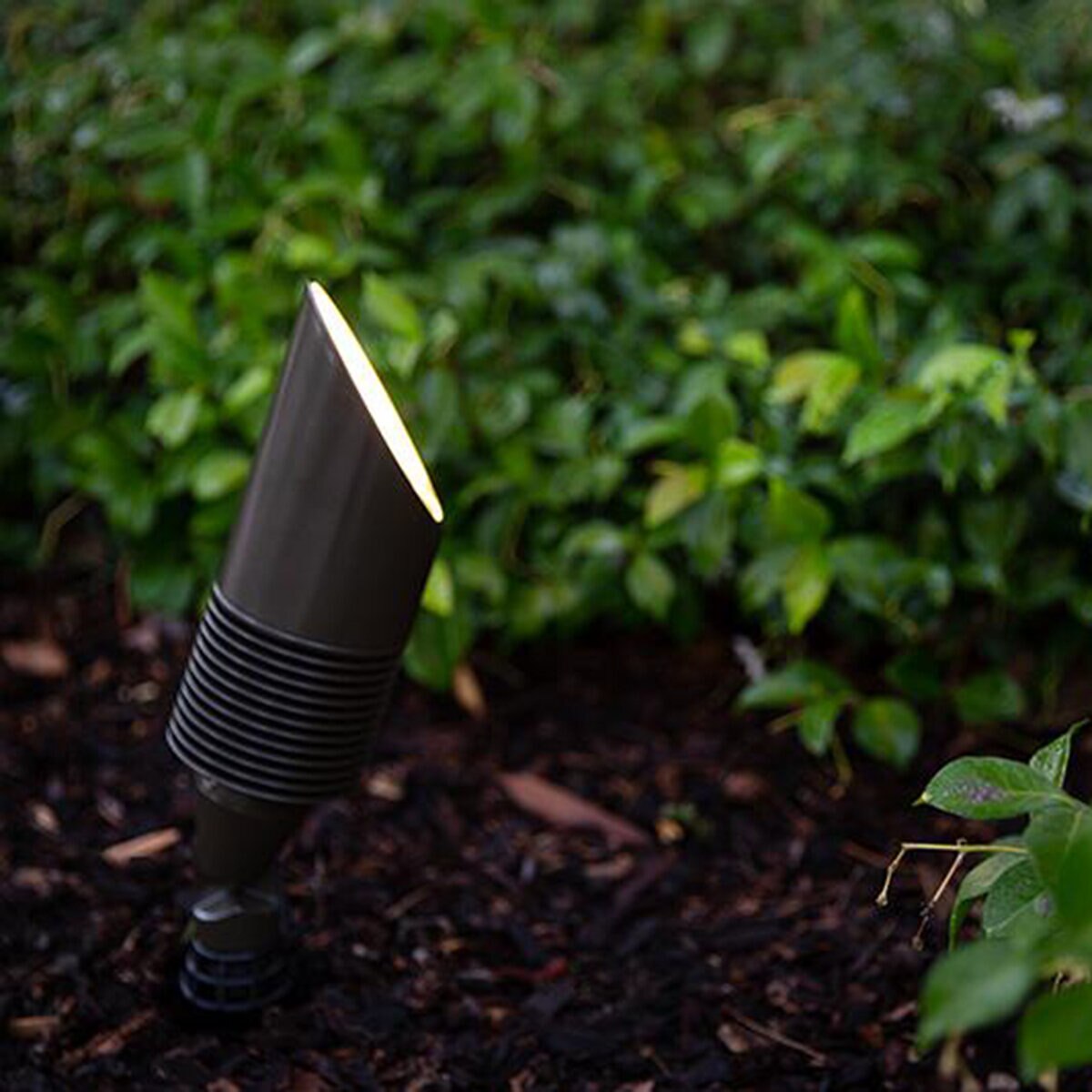 FX XA ZD Accent Light Bronze Finish 18W 2700K 20 Deg LED