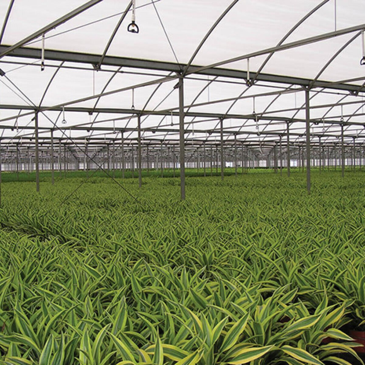 Senninger Super Spray Up3 Bracket Mnpt w/ Retainer & O - Ring (w/ o Nozzle or Deflector Pad)