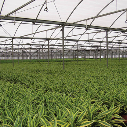 Senninger Super Spray Up3 Bracket Mnpt w/ Retainer & O - Ring (w/ o Nozzle or Deflector Pad)